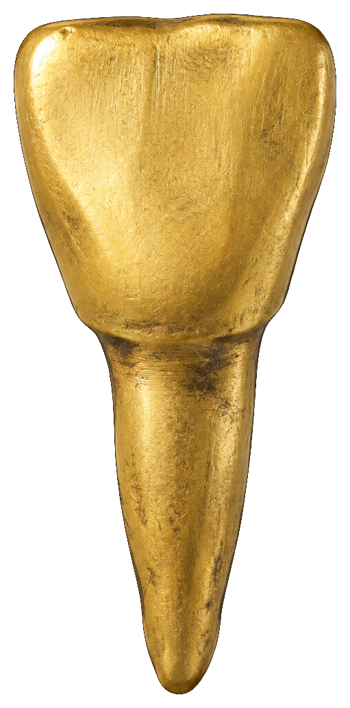 A child’s front milk tooth cast in brass